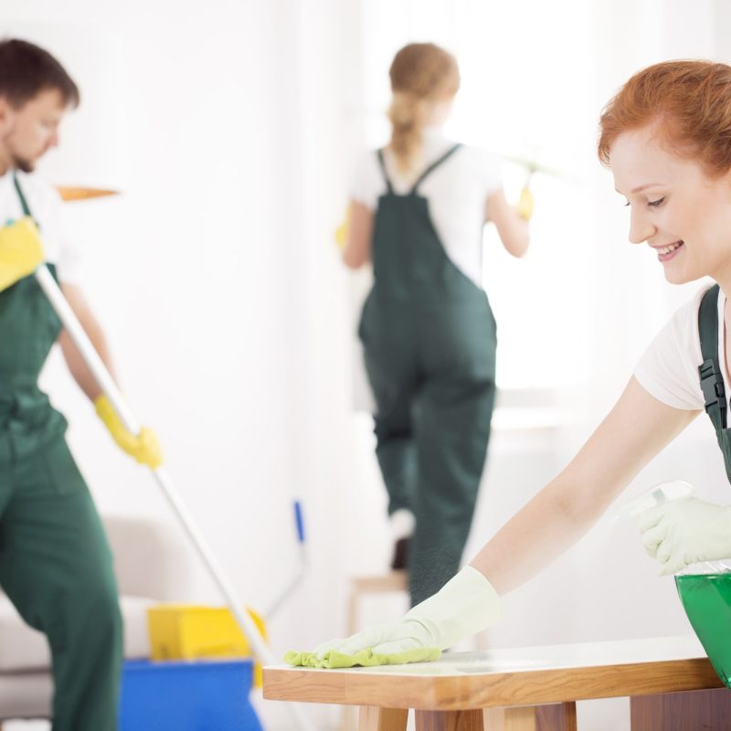 cleaning service during work 1