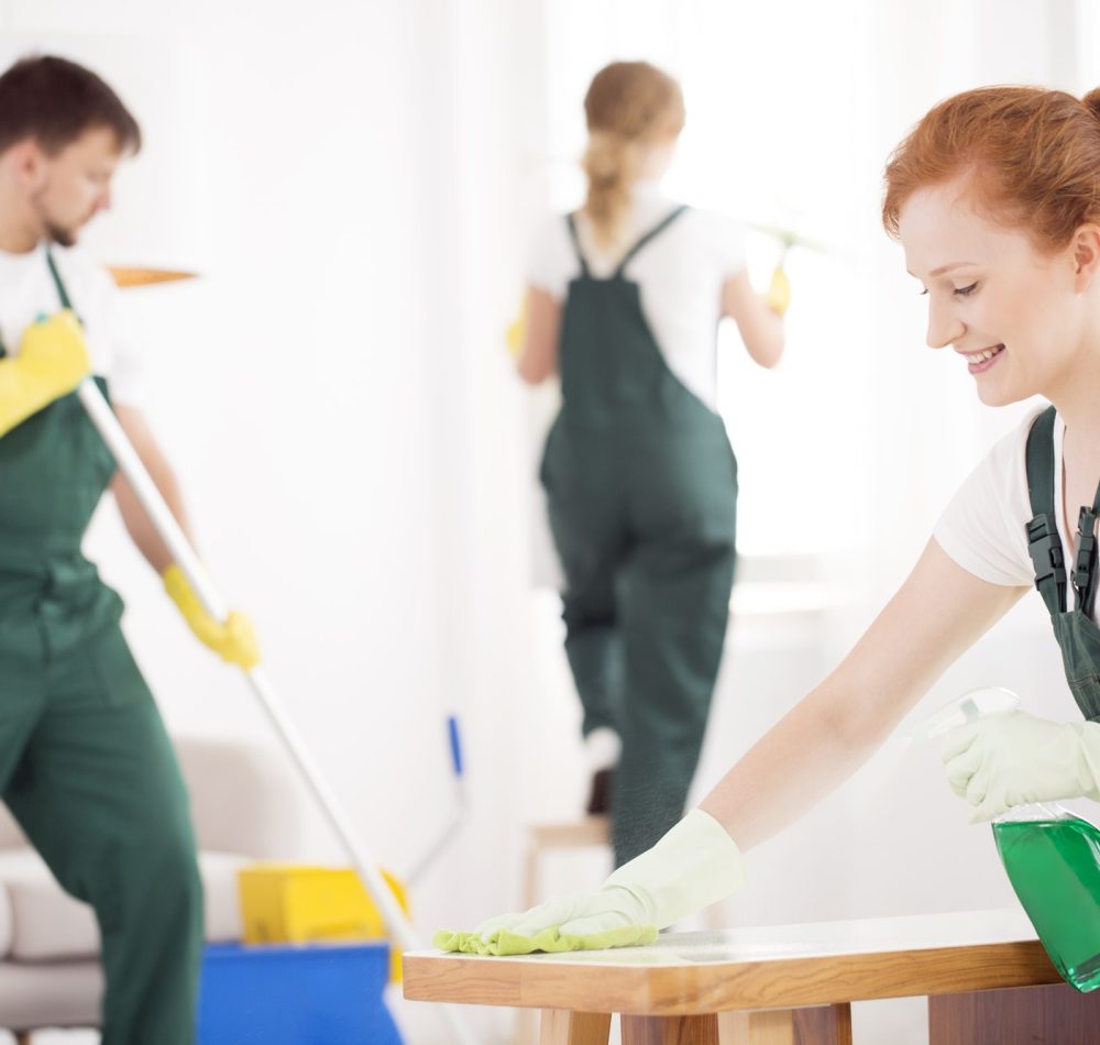 cleaning service during work 1