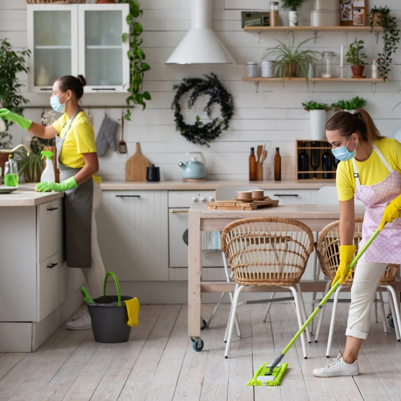 general cleaning of the kitchen professional housekeeping service